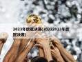 2023年欧冠决赛(20222023年欧冠决赛)