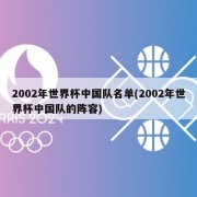 2002年世界杯中国队名单(2002年世界杯中国队的阵容)