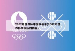 2002年世界杯中国队名单(2002年世界杯中国队的阵容)