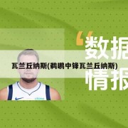 瓦兰丘纳斯(鹈鹕中锋瓦兰丘纳斯)